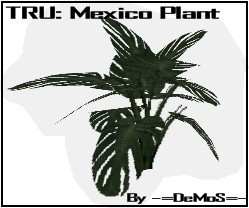 TRU: Mexico Rain Plant (Original Mesh by teme9)