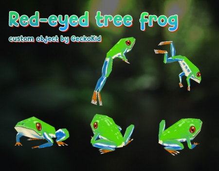 Red-eyed Tree Frog