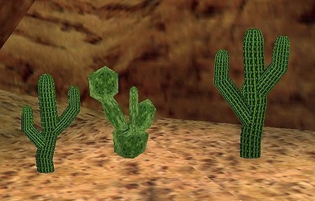 Cactus Set 2