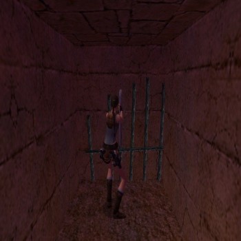 Tomb Raider Chronicles Wall Crowbar