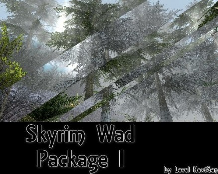 Raider Skyrim - Package I