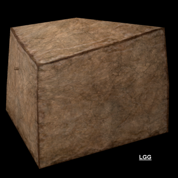 NG TR4 Pushable Stone Block