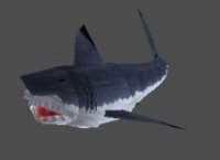 TR2 Shark