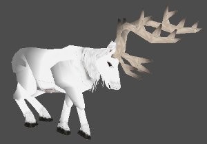 White Reindeer