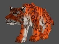 Orange Tiger