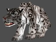 White Tiger