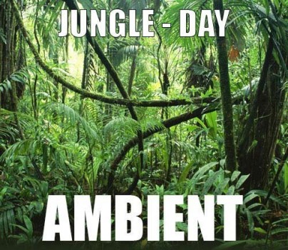 Ambient track - Jungle : Day