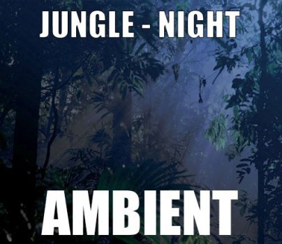 Ambient track - Jungle : Night