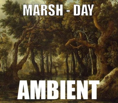 Ambient track - Marsh : Day