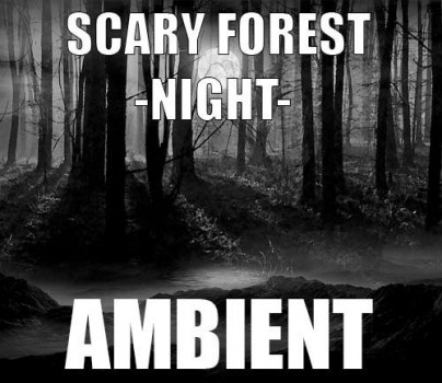 Ambient track - Scary forest : Night